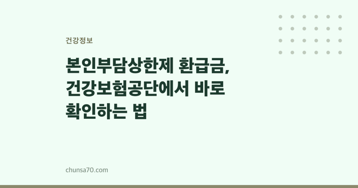 본인부담상한제 환급금, 건강보험공단에서 바로 확인하는 법